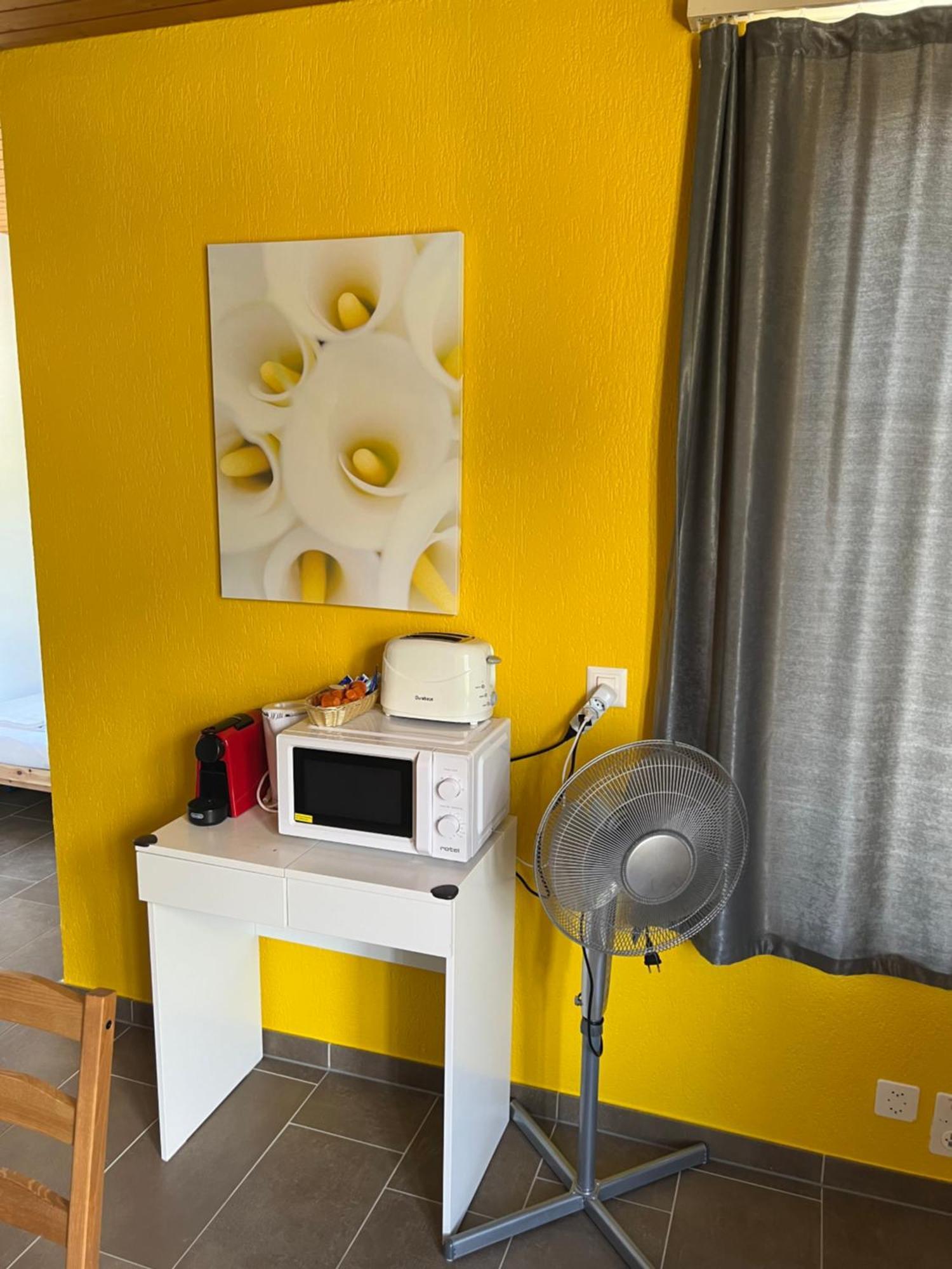 Apartament Rosy อินเทอร์ลาเคน ภายนอก รูปภาพ