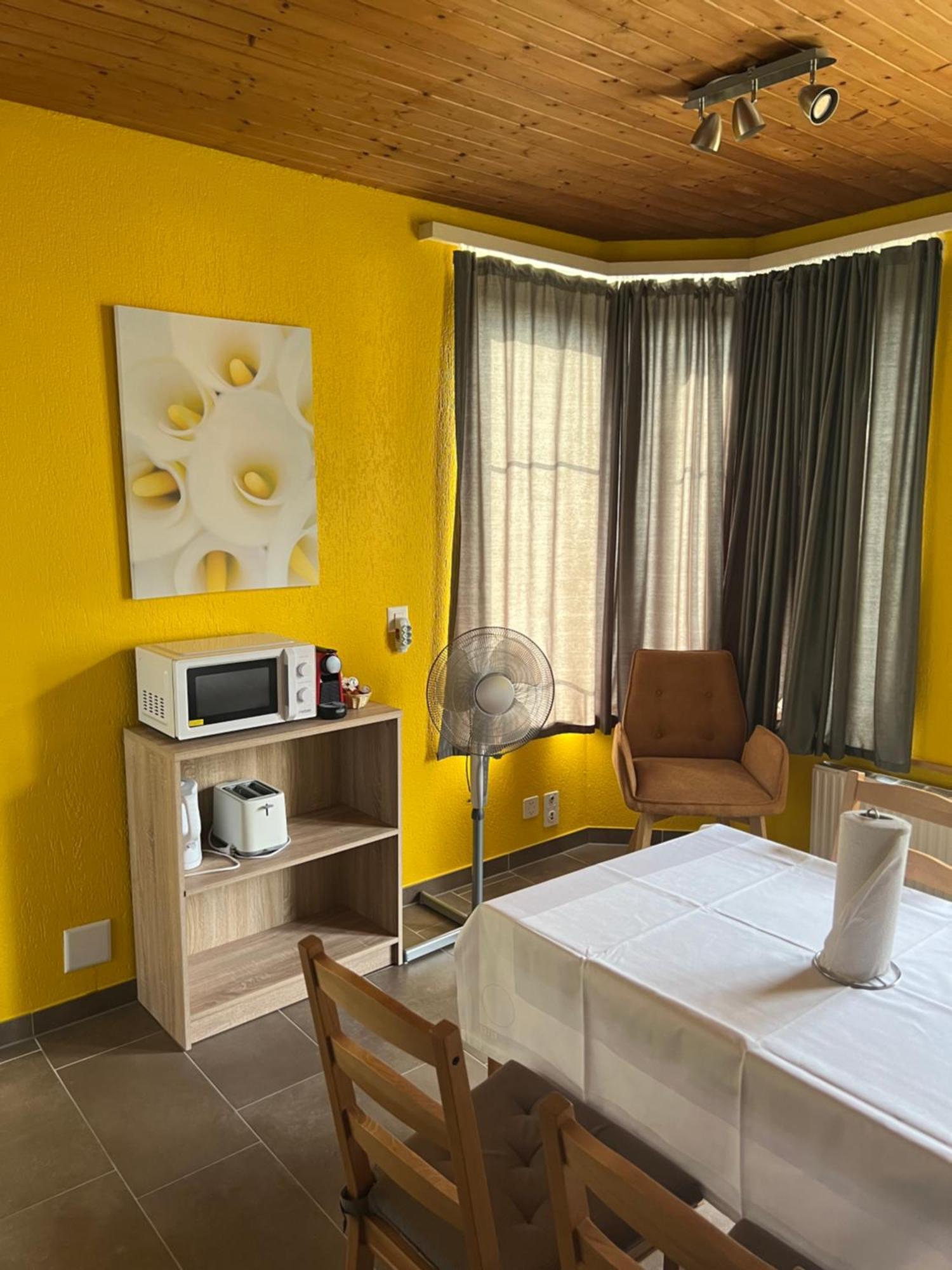 Apartament Rosy อินเทอร์ลาเคน ภายนอก รูปภาพ