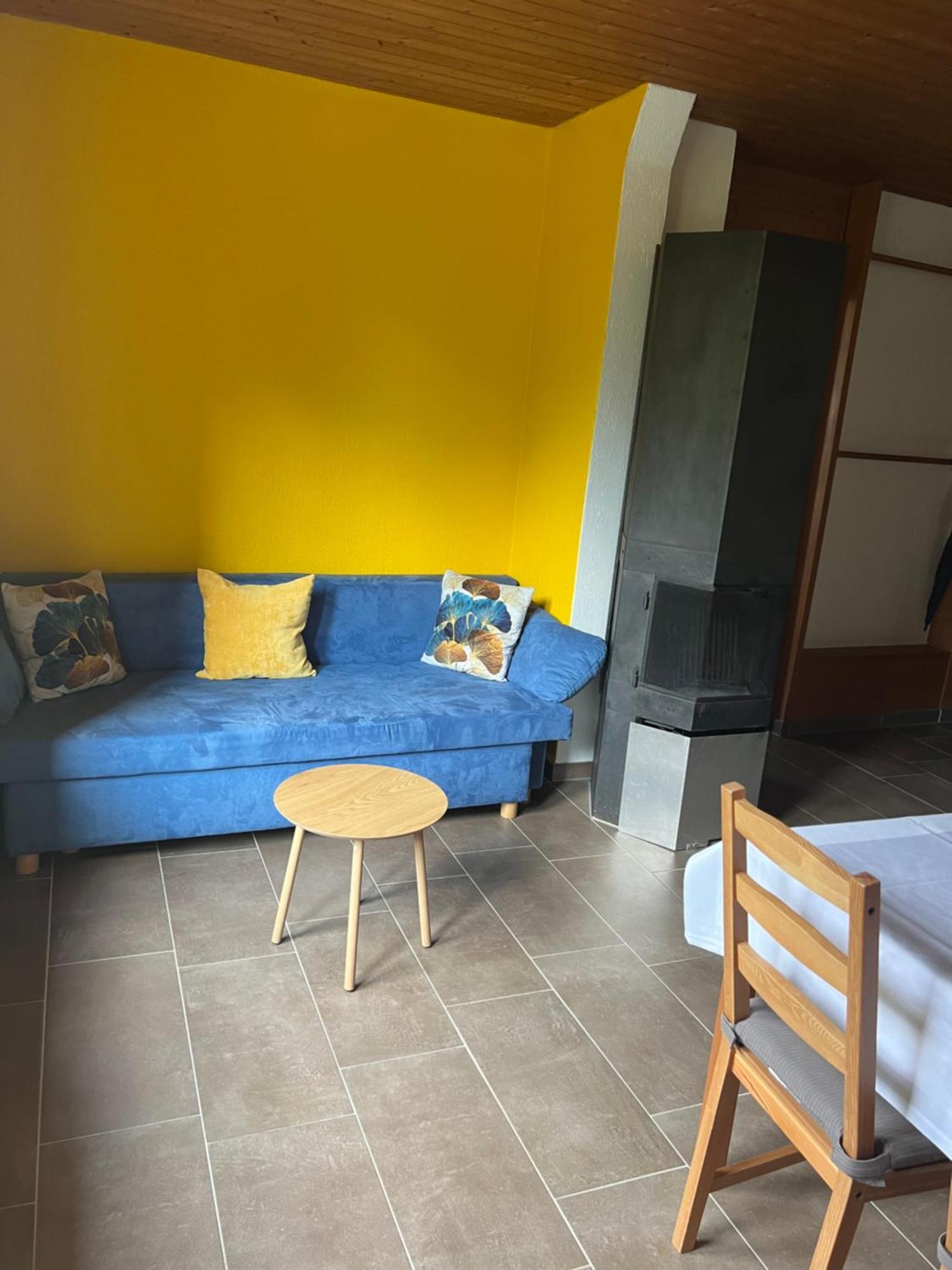 Apartament Rosy อินเทอร์ลาเคน ภายนอก รูปภาพ